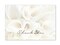 Great Papers! Thank You Note Card and White Envelope, White Calla Lilies, 4.75" x 3.375"(folded), 50 count